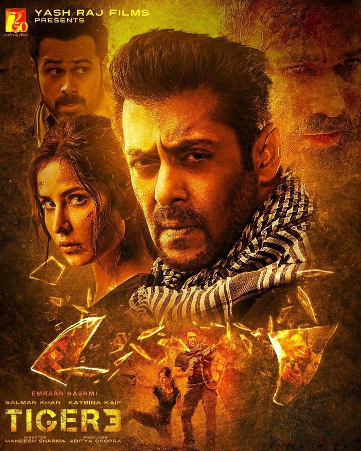 Tiger 3 Ending Explained