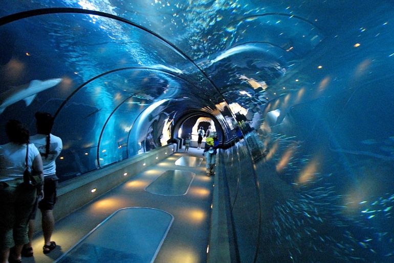 Sea Tunnel Aquarium Bangalore Timings, Address, Ticket Price In 2024