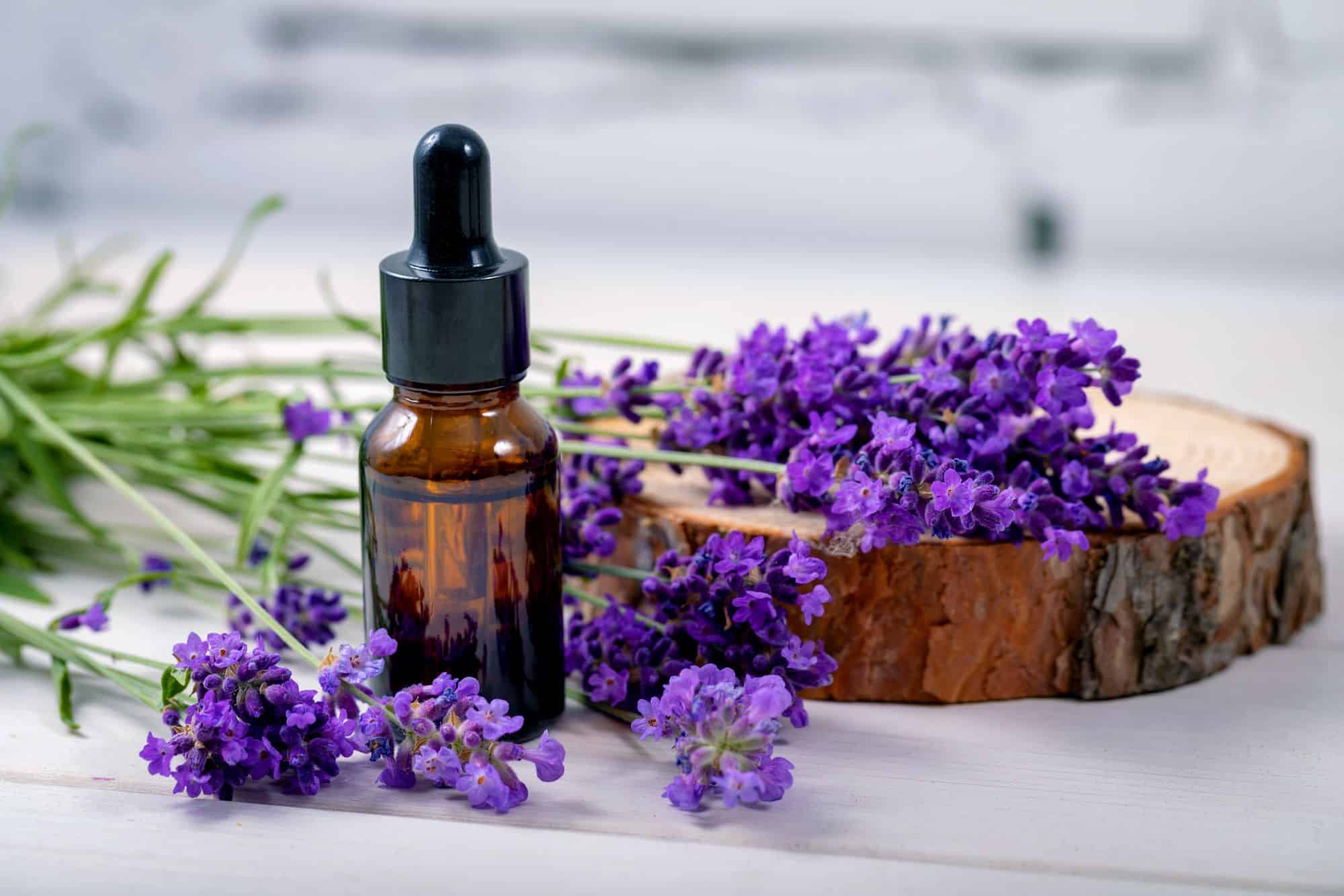 Top 6 Reasons To Use Lavender Oil For Skin