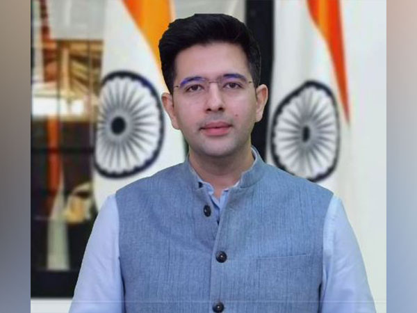 Raghav Chadha Education, Family, Net Worth, Biography