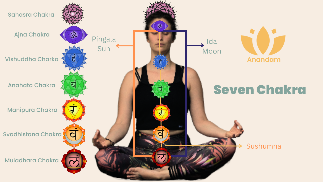 Know About 7 chakras of the human body