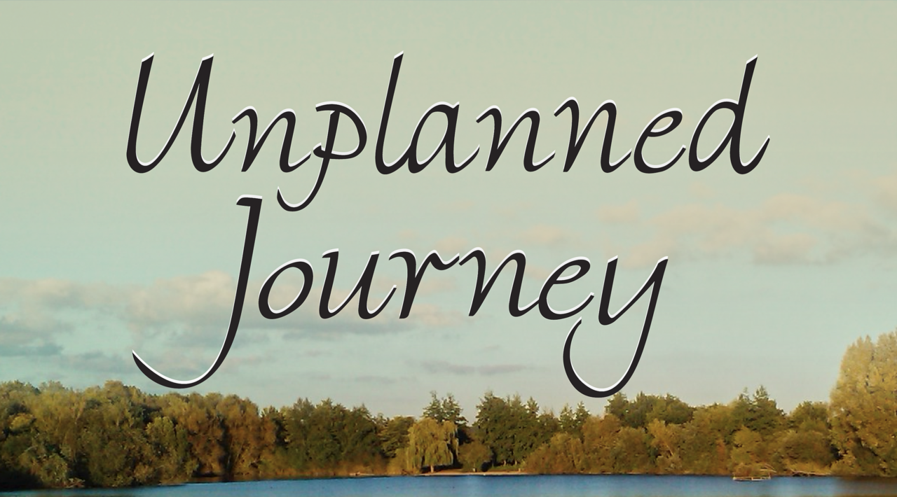 Know About Unplanned Trips Captions and Quotes for Instagram