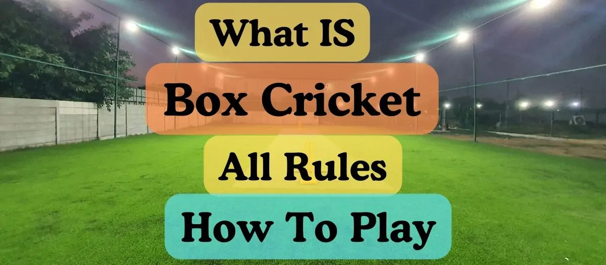 Know About The Box Cricket Meaning