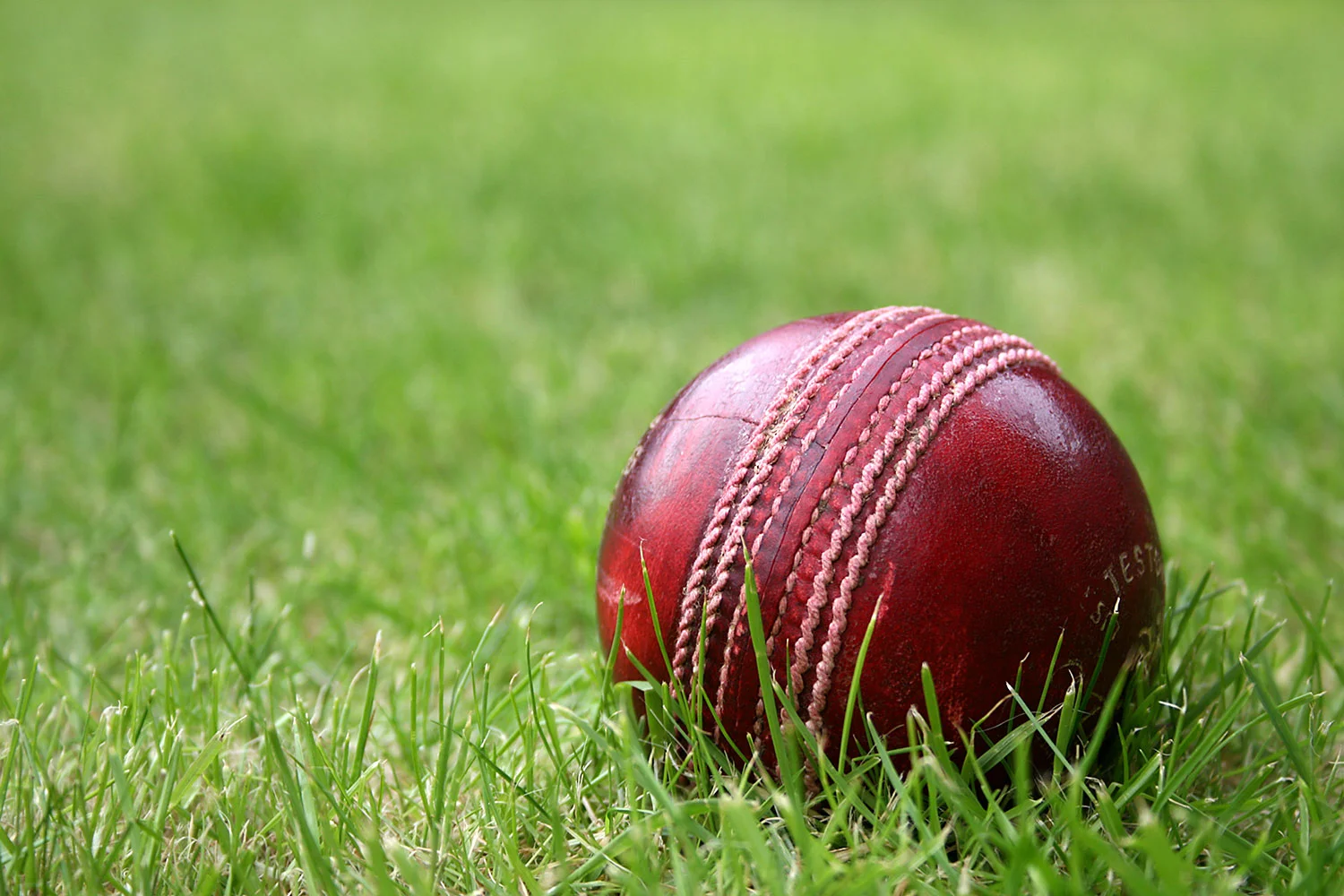 Know The Weight Of A Cricket Ball In Grams?