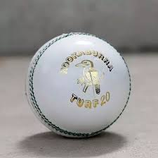 Know About IPL Cricket Ball Price