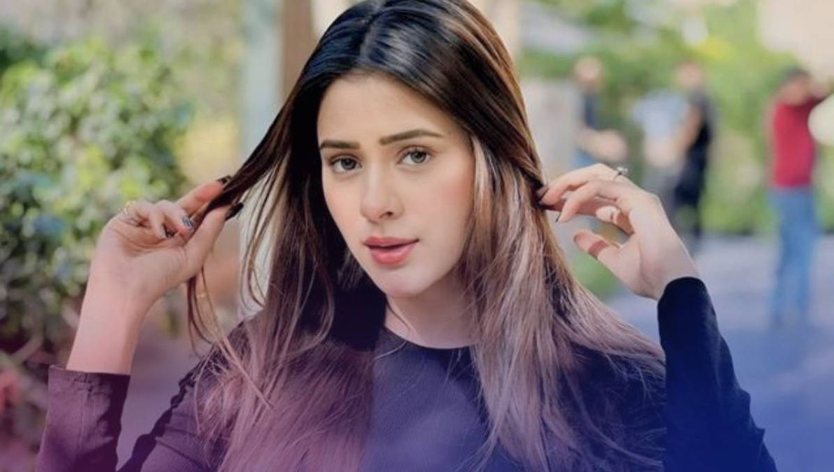 Hiba Nawab Biography, Husband Name, Age, Relationship, Career, Net Worth