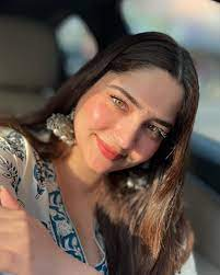 Himanshi Chaudhary Biography, Age, Height, Weight, Career, BF