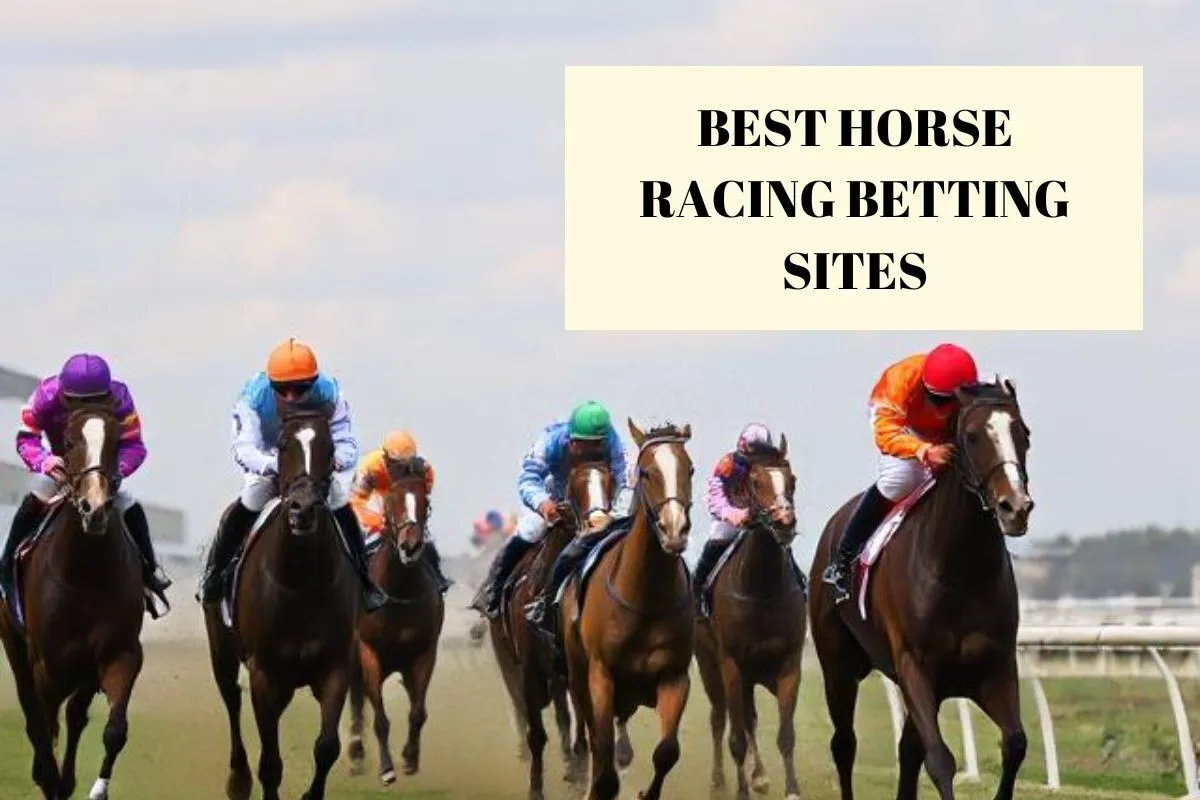 Top 10 Online Horse Race Betting Sites In India In 2025