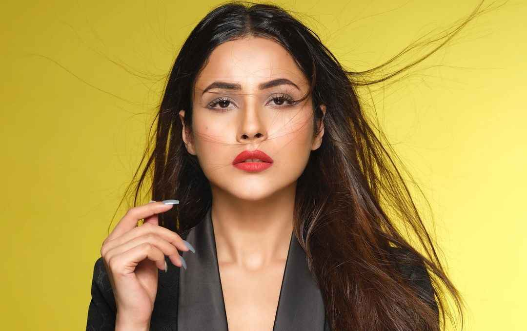 Shehnaaz Gill Age, Boyfriend, Size, Height, Weight, DOB, Husband, Family, Biography In 2025