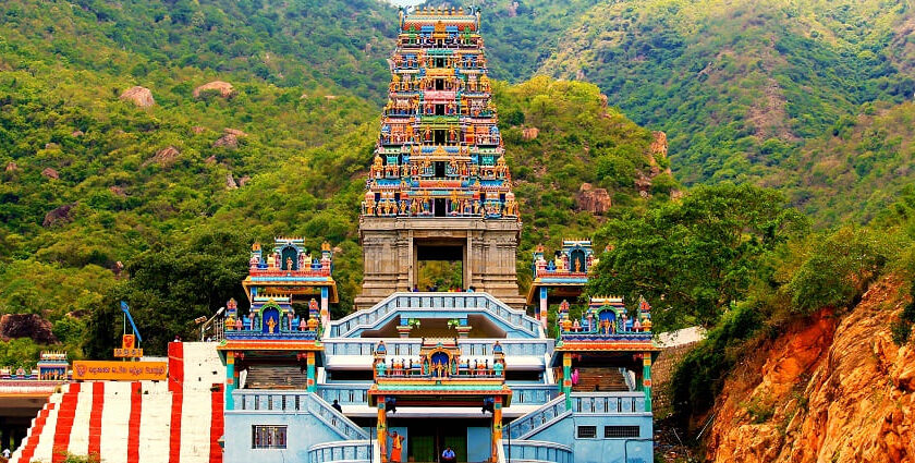Maruthamalai Temple Timing, Ticket Price, Location & All You Need To Know In 2026