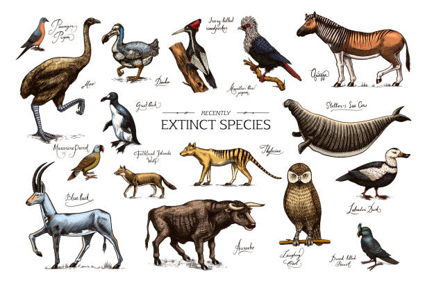 Know About The Extinct Animals Of India Through 8 Beautiful Illustrations